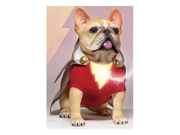Cosplay Dog Collection Figure Series Shazam
