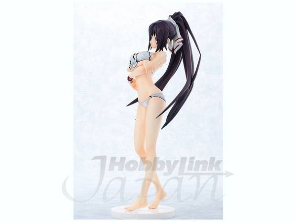 Houki Shinonono Swimsuit Ver. PVC