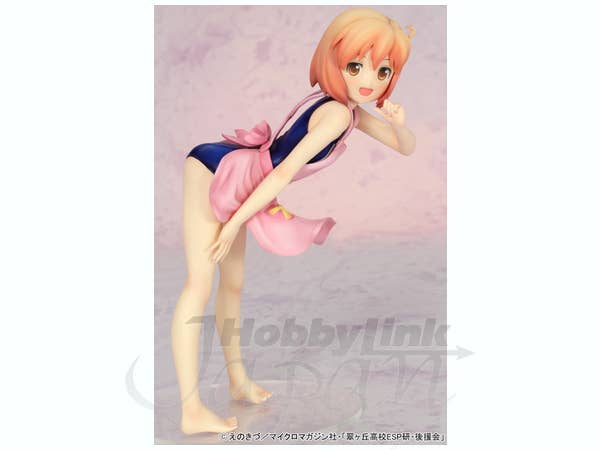 Haruka Kotoura School Swimsuit Apron Ver. PVC