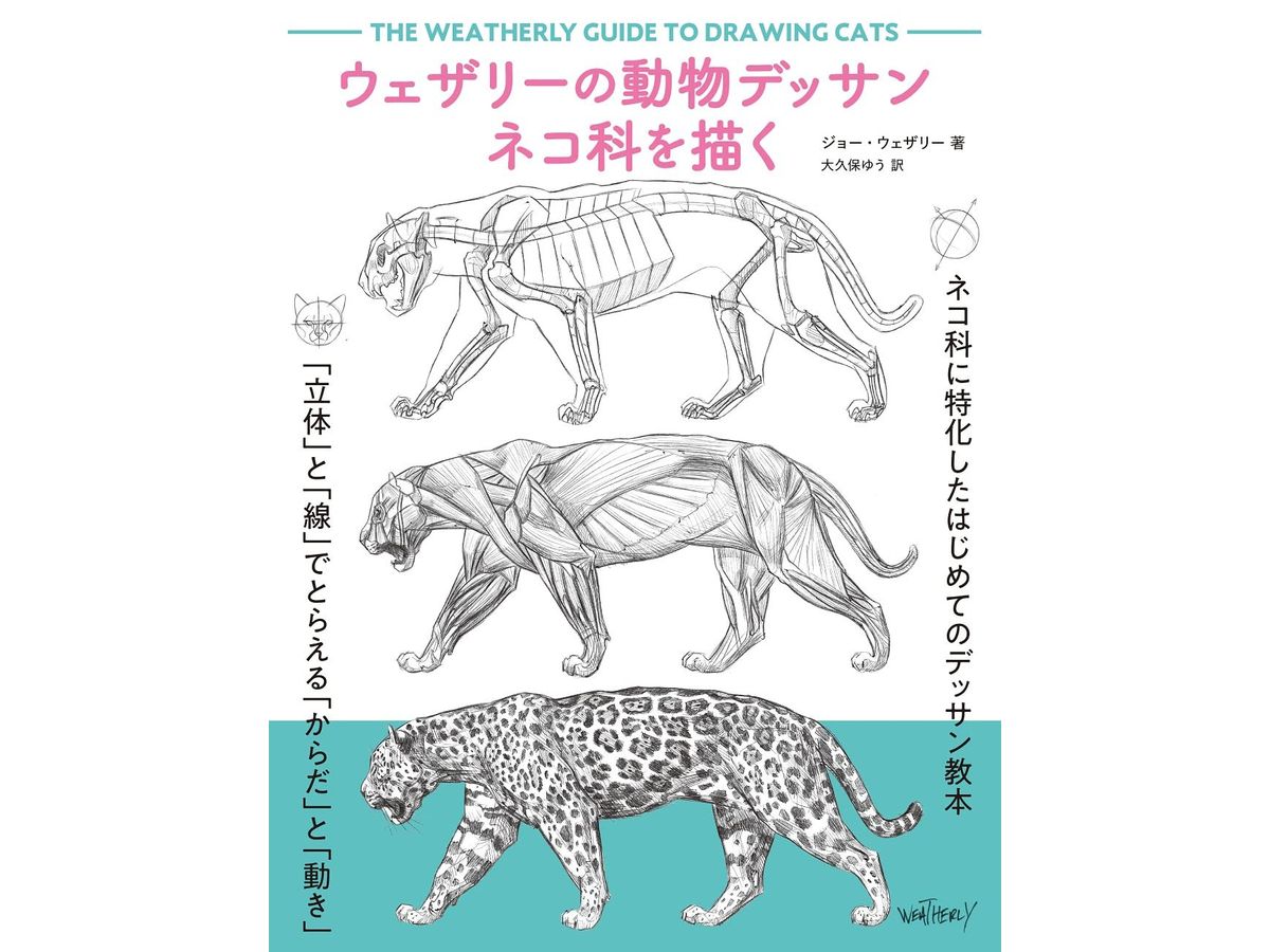 The Weatherly Guide To Drawing Cats