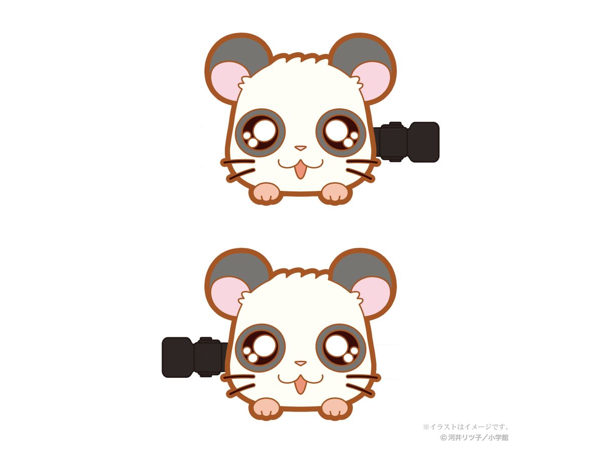 Tottoko Hamtaro: Bangs Clip vol.1 (Panda)