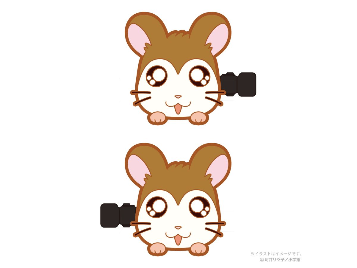 Tottoko Hamtaro: Bangs Clip vol.1 (Maxwell)