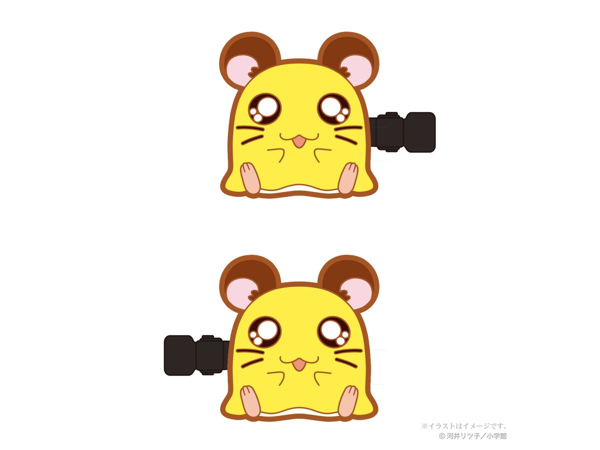 Tottoko Hamtaro: Bangs Clip vol.1 (Penelope)
