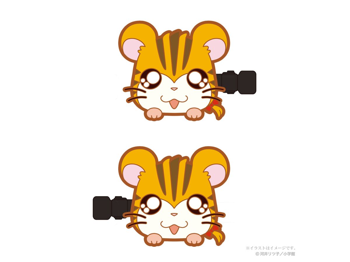 Tottoko Hamtaro: Bangs Clip vol.1 (Sandy)