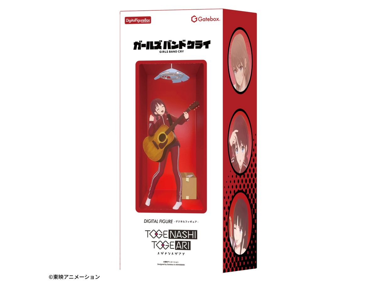 Digital Figure Box Girls Band Cry