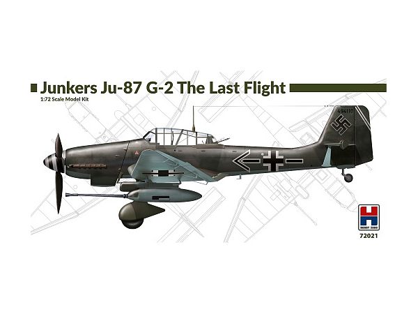 Ju87G-2 The Last Flight