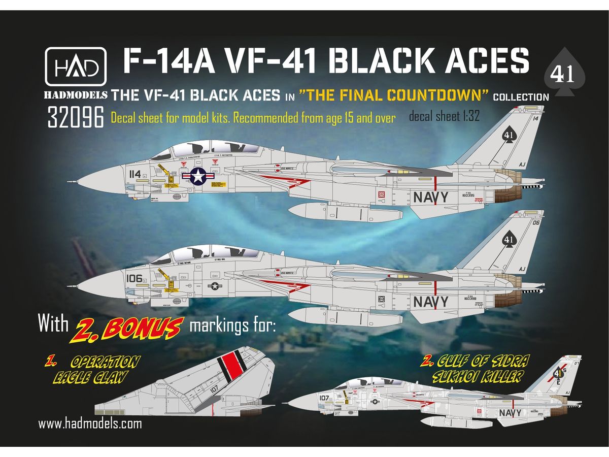 F-14A Black Aces Final Countdown