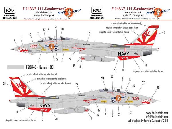 F-14A VF-111 Sundowners Miss Molly (for Tamiya)