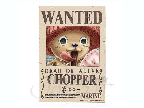 Magnetic Collection Chopper Wanted Magnet