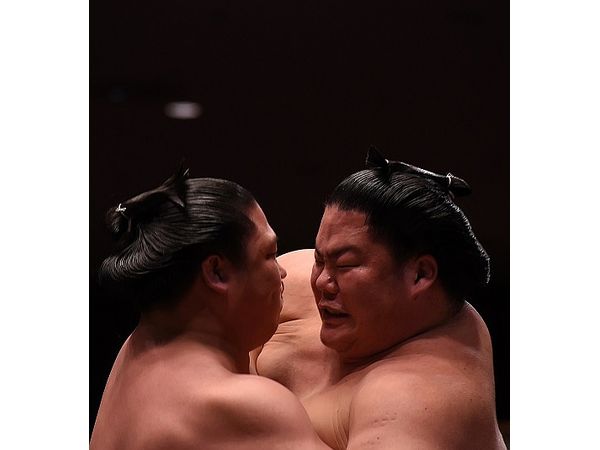 Sumo Wrestling Enjoy At Home