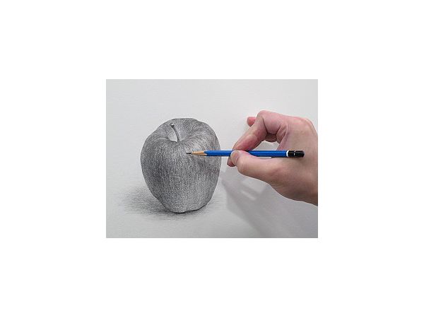 Basics Of Observation Drawing Techniques For Capturing Texture, Space, And Structure