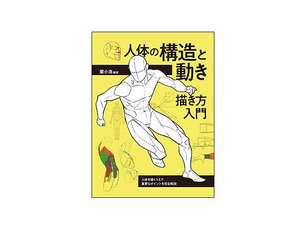 Introduction To Drawing The Structure And Movement Of The Human Body Complete Explanation Of Important Points When Drawing The Human Body