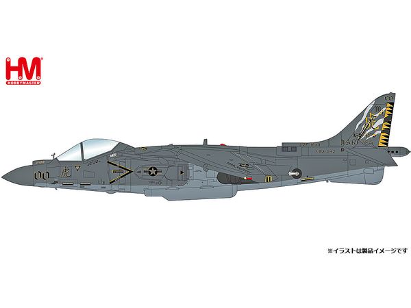 AV-8B Harrier II VMA-542 2019