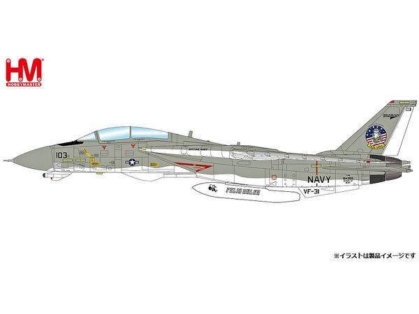 F-14D Tomcat VF-31 Tomcat Sunset 2006