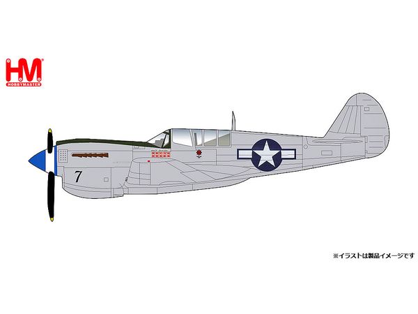 Curtiss P-40N US Army Air Corps Major Gerald Johnson aircraft