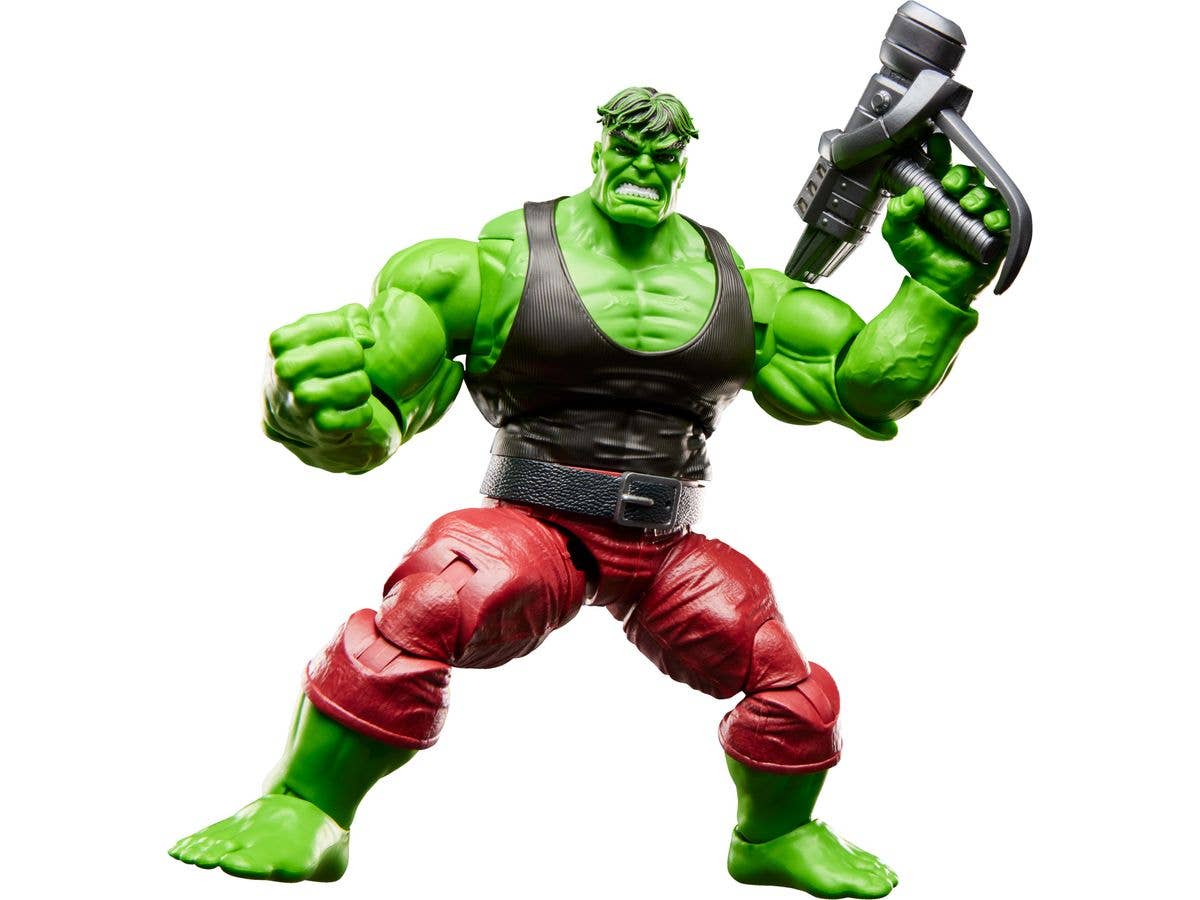 Marvel Legends Series The Incredible Hulk Professor Hulk