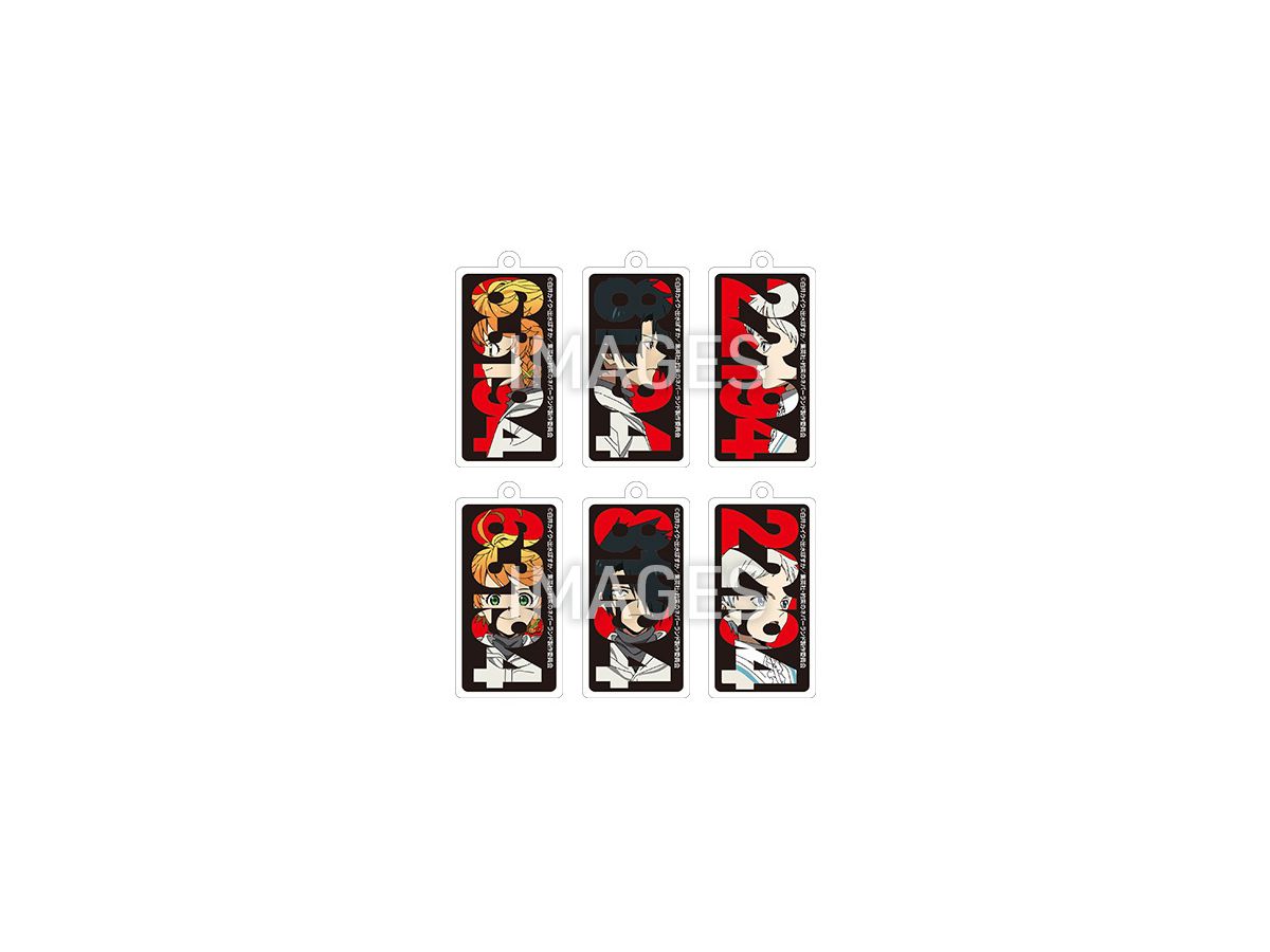 The Promised Neverland Acrylic Initial Key Chain: 1Box (6pcs)