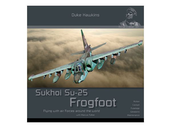 Sukhoi Su-25 Frog Foot