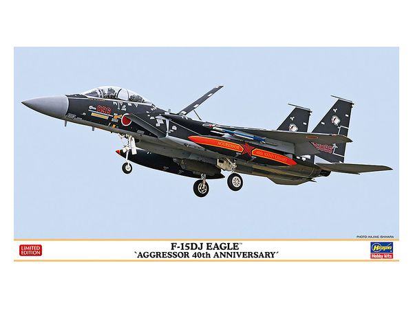 F-15DJ Eagle Aggressor 40th Anniversary