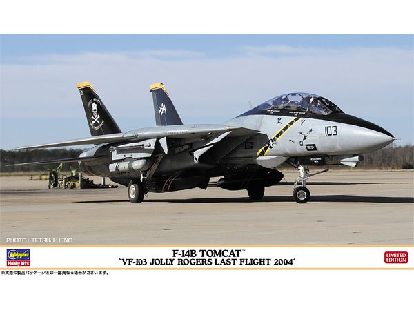 F-14B Tomcat VF-103 Jolly Rogers Last Flight 2004