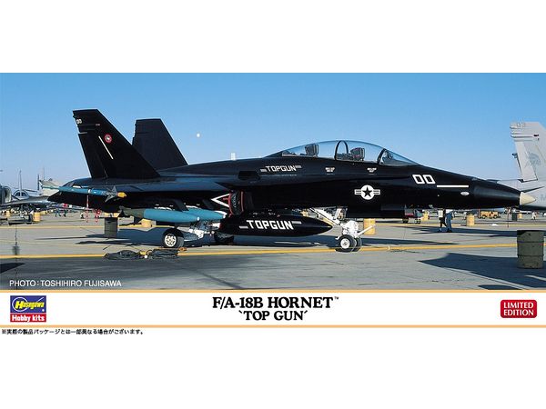 F/A-18B Hornet Top Gun
