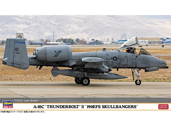 A-10C Thunderbolt II 190EFS Skullbangers
