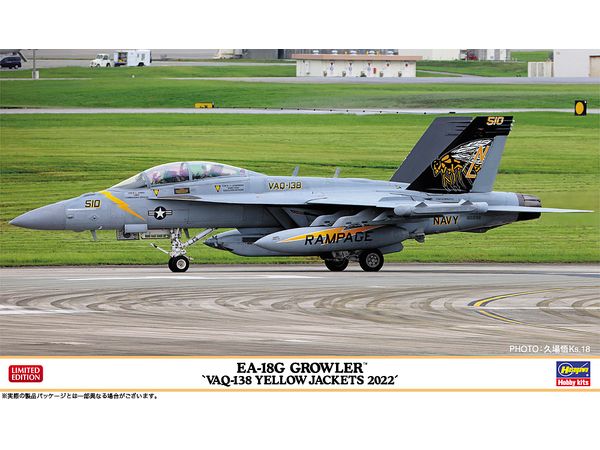 EA-18G Growler VAQ-138 Yellow Jackets 2022