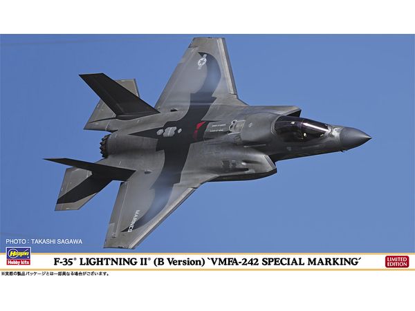 F-35 Lightning II (B Version) VMFA-242 Special Marking