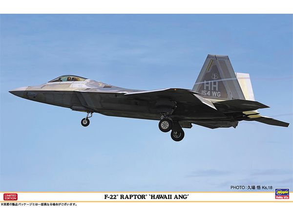 F-22 Raptor Hawaii ANG
