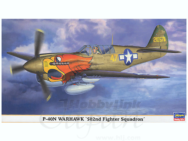 P-40N Warhawk 502nd FS