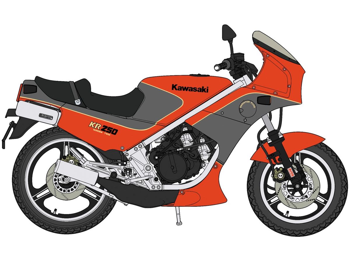Kawasaki KR250 (KR250A) Red / Gray Color