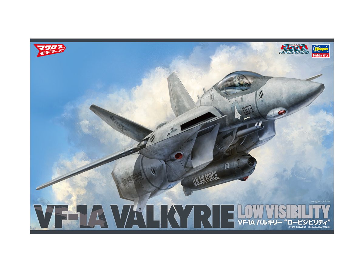 VF-1A Valkyrie Low Visibility