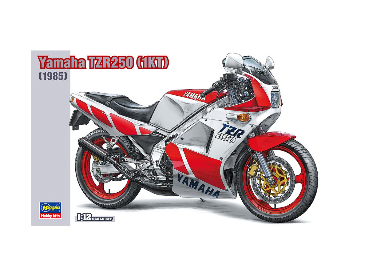Yamaha TZR250 (1KT)