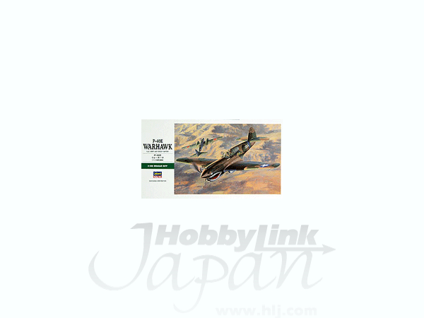 P-40E Warhawk
