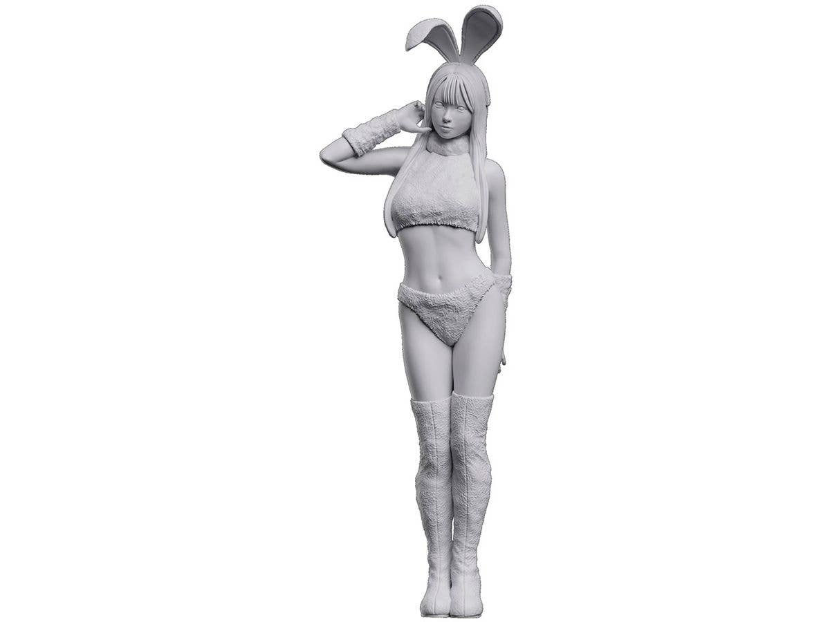 12 Real Figure Collection No.45 Bunny Cosplay