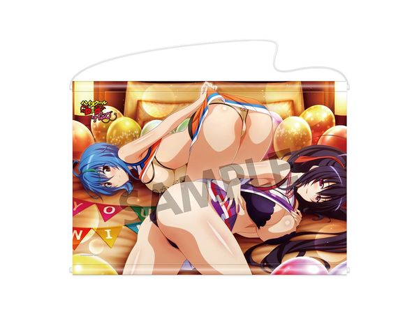 High School DxD HERO: B2 Tapestry Akeno & Xenovia Cheerleader ver.