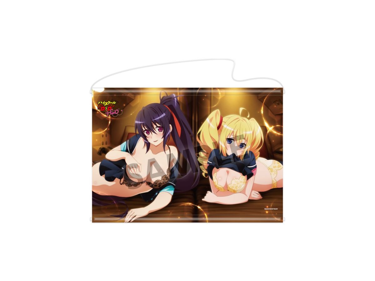 High School DxD HERO: B2 Tapestry Akeno & Ravel Flight ver.