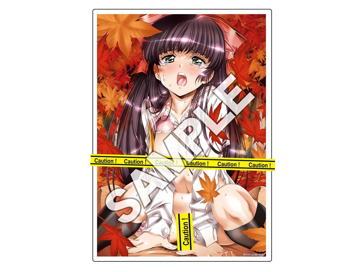 Satoshi Urushihara Acrylic Art Collection Nonoka Enami