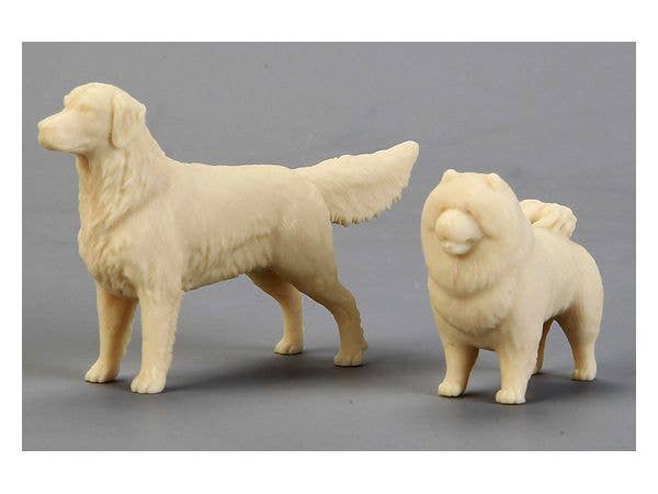 Adorable Pet (Golden Retriever & Chow Chow)