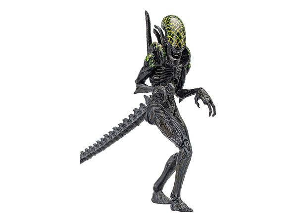AVP Action Figure Grid Alien