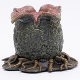 7 Inch Alien Egg & Facehugger Pack – MJ@TreasureHearts Toys & Collectibles