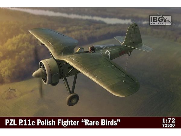 PZL P.11c Polish Fighter "Rare Birds"