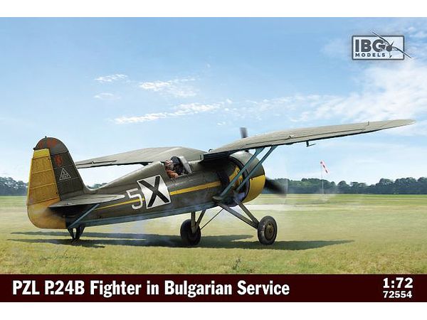 Bulgarian PZL P.24B Gull Wing Fighter