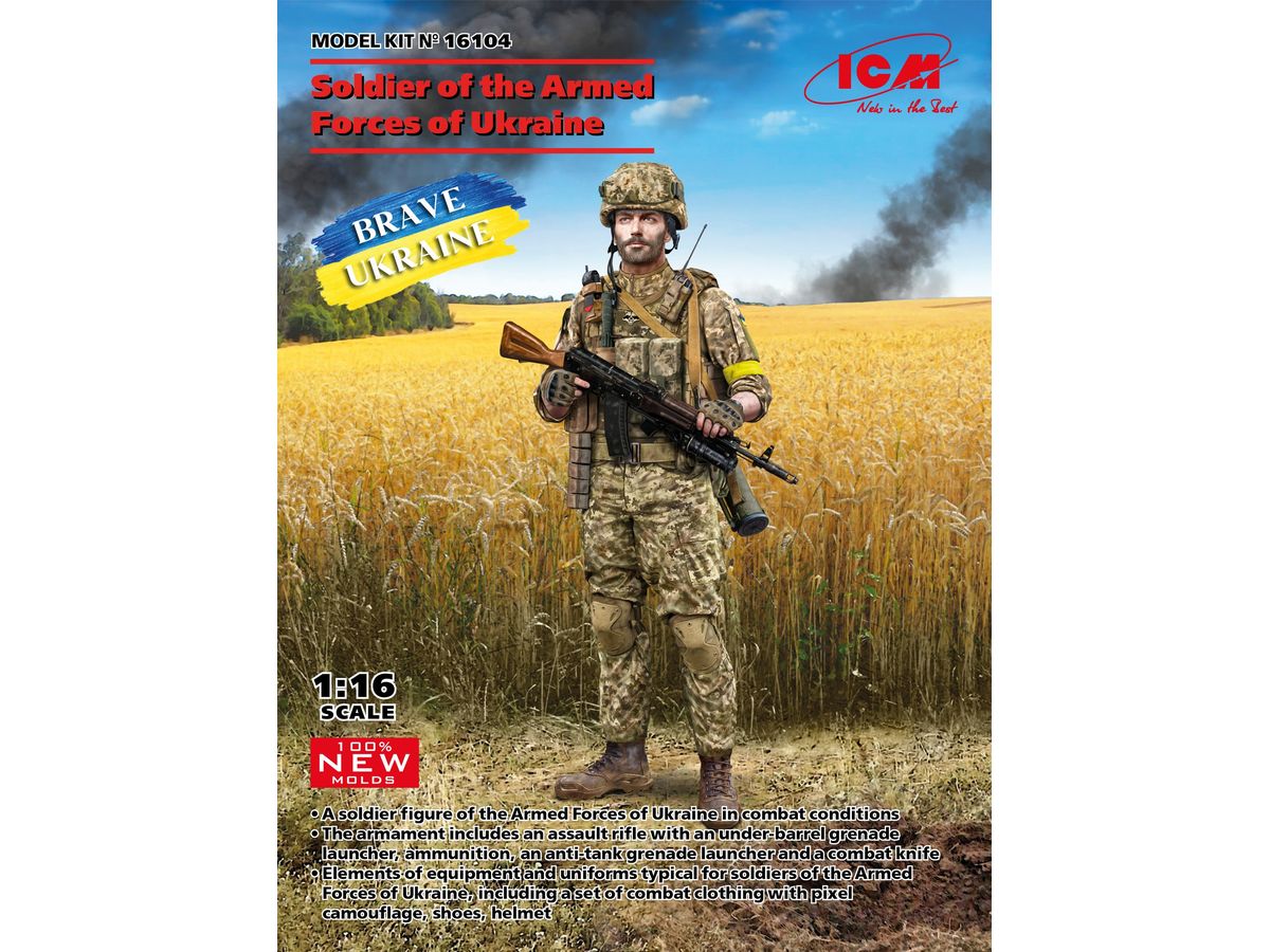 Soldier of the Armed Forces of Ukraine