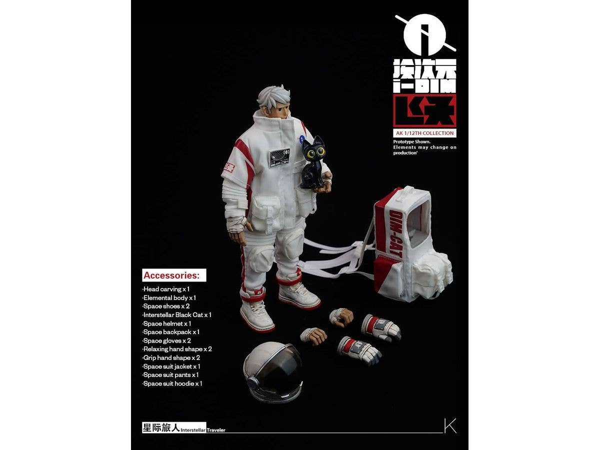 Interstellar Traveler