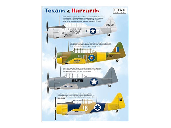 Texans & Harvards