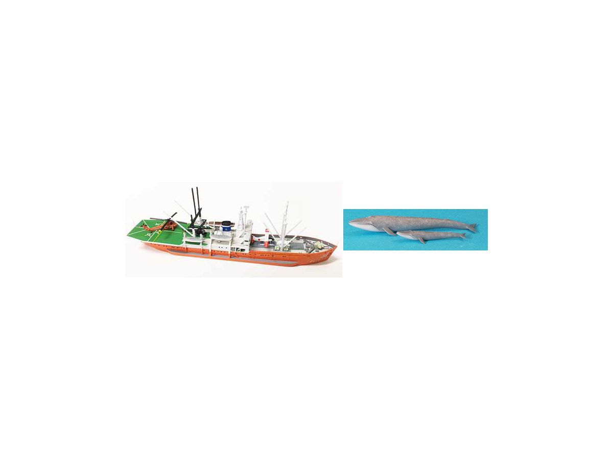Soya 1/350 & 1/700 with Resin Balaenoptera Musculus