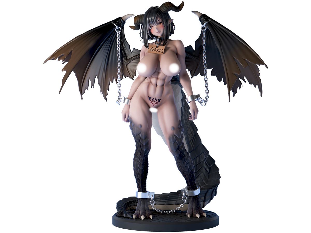 Nikukan Shojo Isekai no Do0ichi No. 03 Dragon Girl (Second Order)