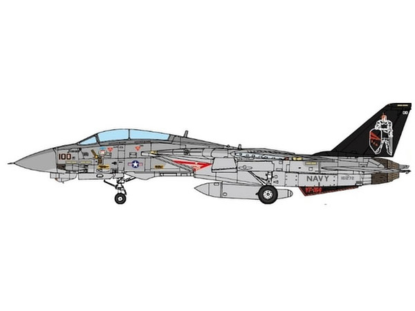 F-14A US Navy VF-154 Black Knights 1998