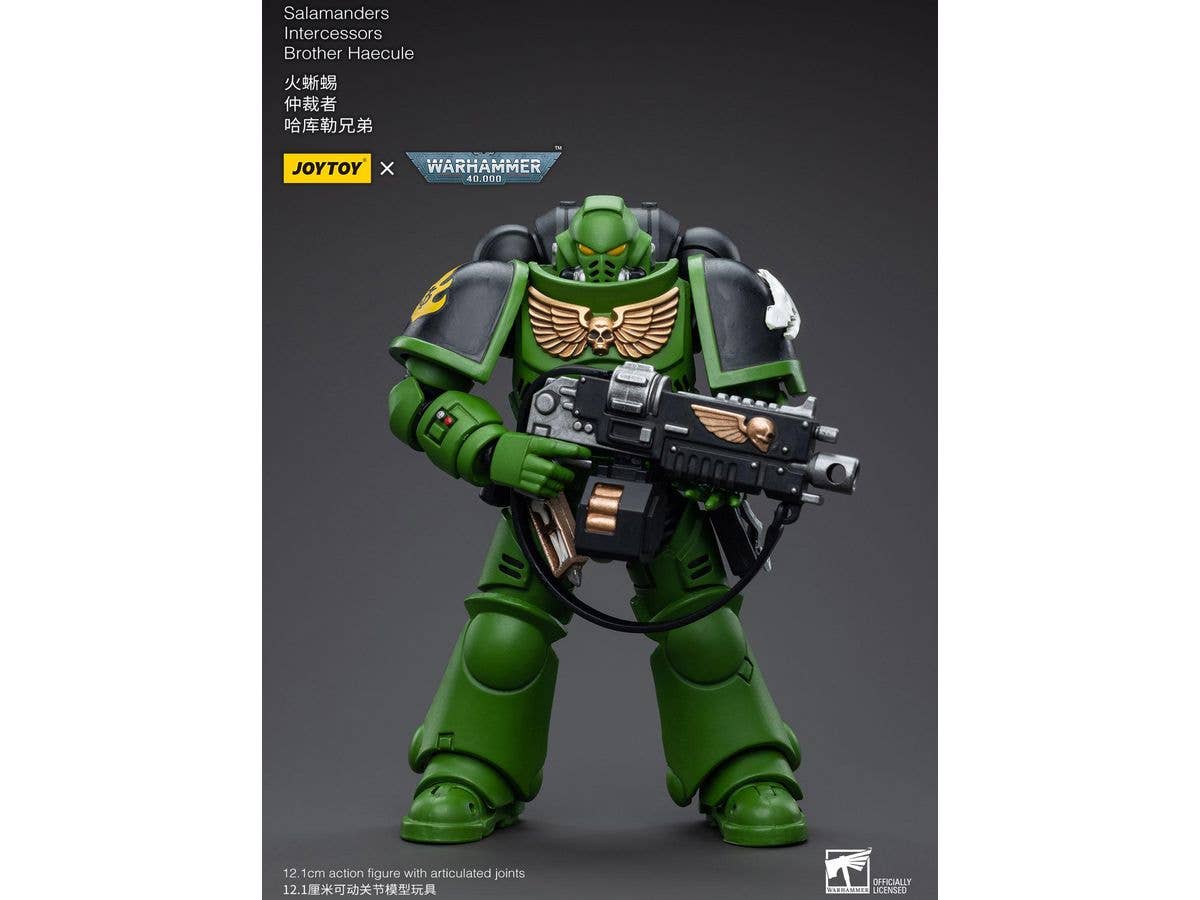 Warhammer 40K Salamanders Intercessors Brother Haecule